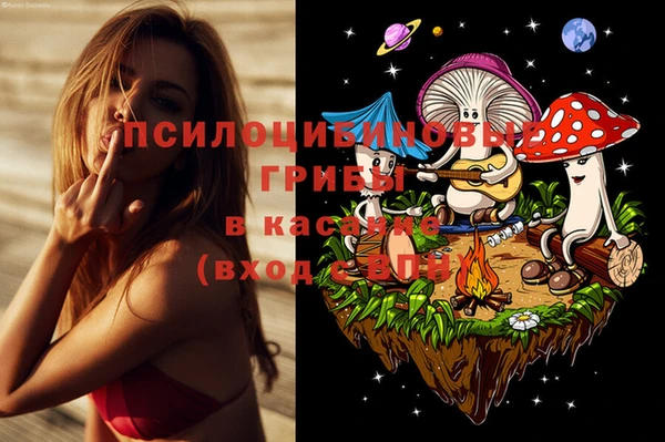 гашик Баксан