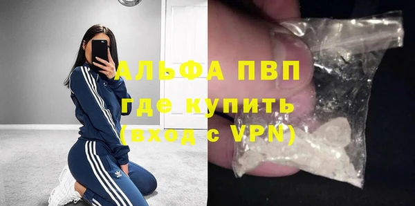 гашик Баксан