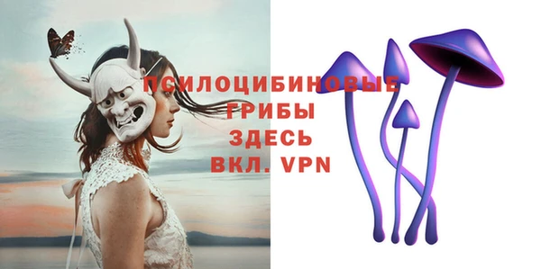 гидра Балахна